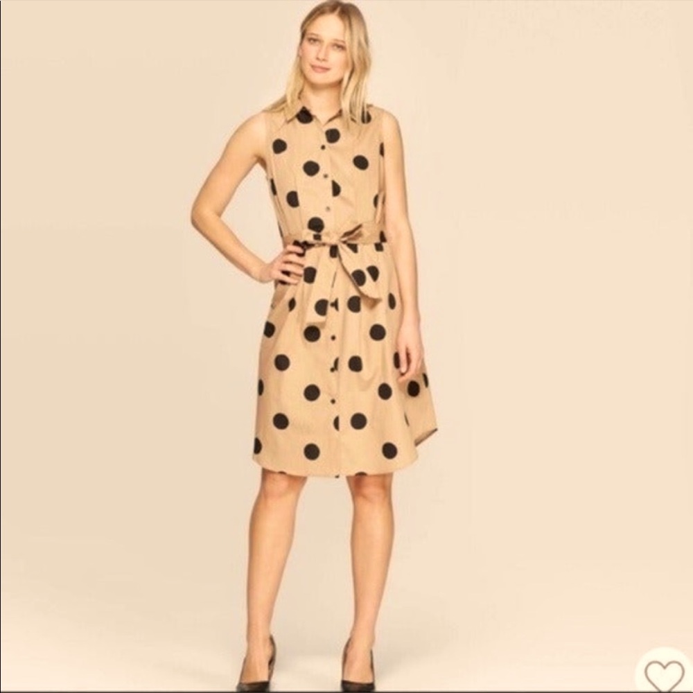 - WHO WHAT WEAR Women’s Black polkadots Dress Size 2X